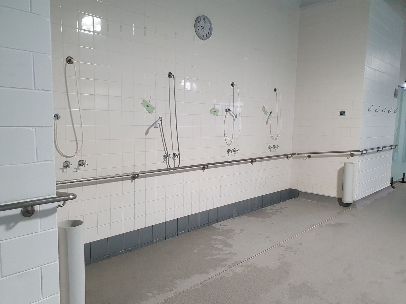 Accessible showers with hand rails